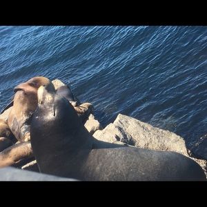 Meet your Posher, Hailey